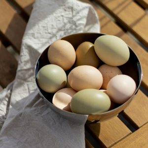 eggs